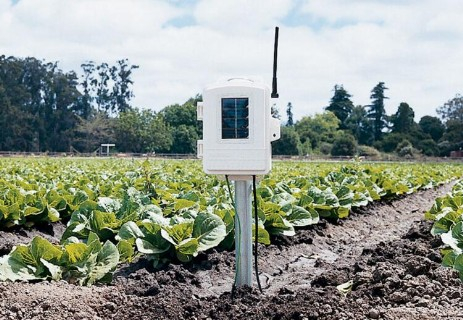Wireless Leaf & Soil Moisture/Temperature Station 6345